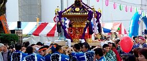 御太鼓に鼓舞され武州七祭会神輿の担ぎ出し。'11.11.13.