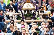 台町青年会神輿。'11.11.06.