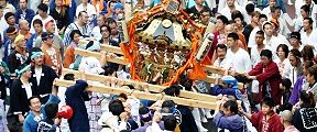 川崎道祖神の神輿振り。'11.11.06.