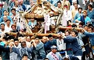 せり担ぎの川崎柏睦。'11.11.06.