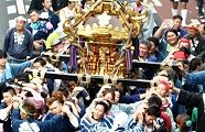 幸連合神輿。'11.11.06.