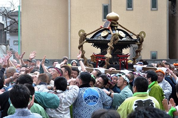 初担ぎの雄叫びの元宿神社の宮入。'12.01.01.