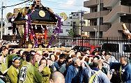 細い路地での休息の木。'12.03.11.