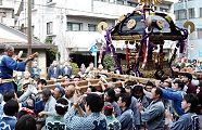 揉みもせず素直に神輿を馬に納める。'12.03.11.