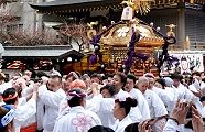 駒札梅まつり神輿。'12.02.26.