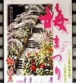 梅まつりPOP。'12.02.26.