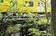 西武線通る鷹の台玉川上水。'12.04.15.