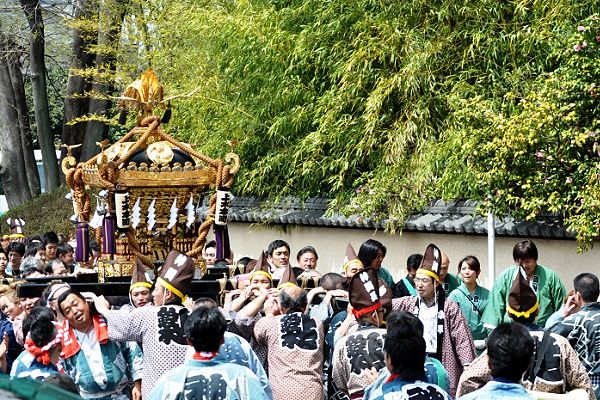 神輿が武蔵野の情趣が漂う新緑を愛でむ。'12.04.15.