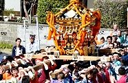 路地中を威勢よく担ぐ。'12.04.01.