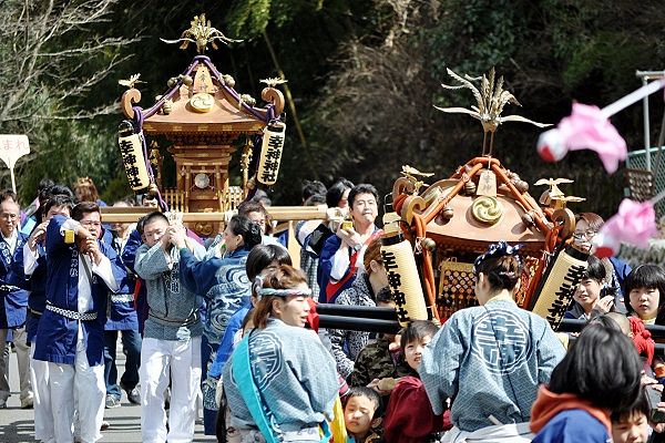 里山の山間をゆったりと担がれてくる手作り神輿。'12.03.25.