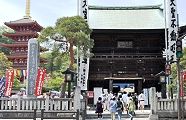 五重塔と仁王門。'12.04.29.