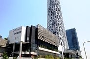 新しく誕生のツリータウン。'12.05.19.