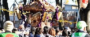 瓔珞が神輿揉で外れた。'12.11.18.