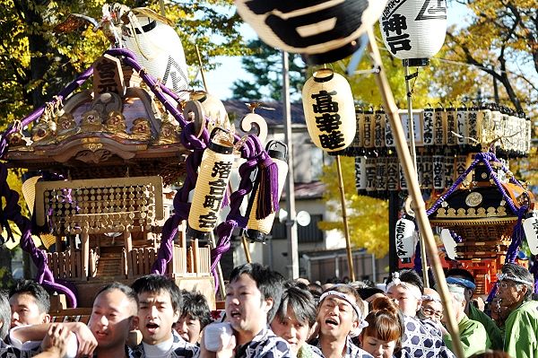 多摩御陵参道を三基揃っての連合パレード。'12.11.18.