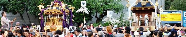 川崎市役所で翠鳳睦と田島会の神輿揉み。'12.11.04.