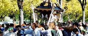 富士見通りの翠鳳睦。'12.11.04.