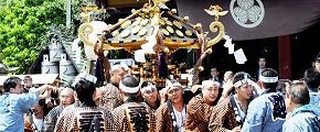 粋な半纏の浅草中町会。'12.05.19.