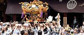 先駆けの東部花川戸一。'12.05.19.