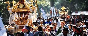 南参道の神輿達。'13.02.11.