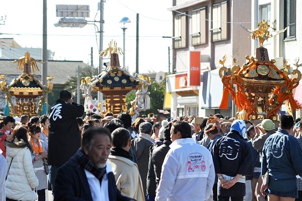 大島町役場下交差点で三基に休息の木。'13.01.27.