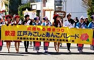 伊豆大島椿まつり。'13.01.27.