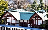 荒川土手から望む氷川神社。'13.01.01.