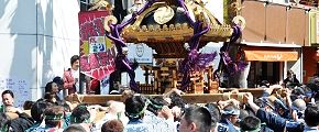 先駆けのむつ龍。'13.04.28.