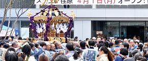 正面玄関で祝賀の神輿揉み。'13.03.24.