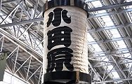 小田原提灯。'13.05.03.