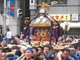 背高に見せる仲町神輿。07.09.23.