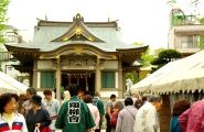 桜草即売所の氷川神社境内。08.04.20.