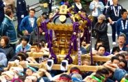 小粒の板橋の福神。09.02.11.