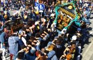 五部会の押しては引く神輿揉み。09.07.26.
