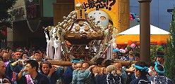 葱花擬宝珠の川崎柏睦。09.11.01.