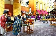 どちらの神職かは聞きそびれた。09.11.01.