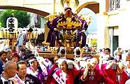 田島会は美形の神輿。09.11.01.