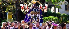 小粒神輿でも華やかさは負けません。09.11.03.
