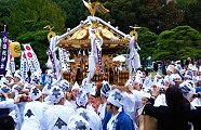 大國魂神社の御本社神輿。09.11.12.