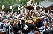 台座三尺五寸の心睦。'11.08.28.