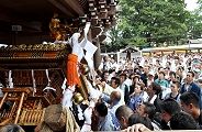 斜めに支えて門に入り込む。'11.08.28.