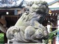 大鳥神社の狛犬は大正5年に建立で子と手毬を抱える。06.09.10.