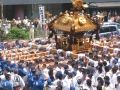 富岡八幡宮二之宮神輿。06.08.13.