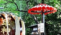 参道の花傘と地口行燈。'13.04.28.