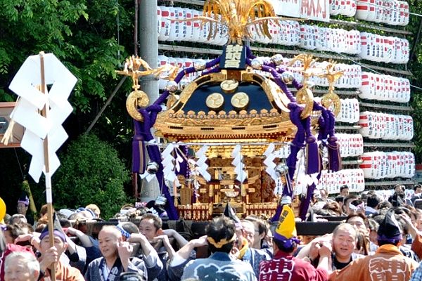 青梅街道で近郊応援団の担ぎ。'13.04.28.