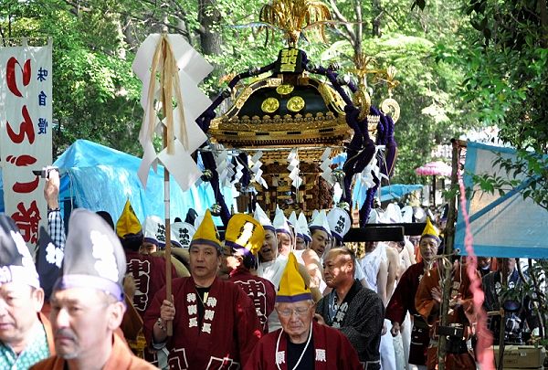 宮神輿を烏帽子白丁装束で宮出し。'13.04.28.