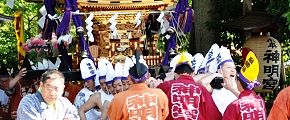 参道鳥居から青梅街道へ。'13.04.28.