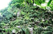小野照崎神社の富士塚。'13.05.19.
