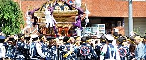 言問通りを悠然と渡御。'13.05.19.