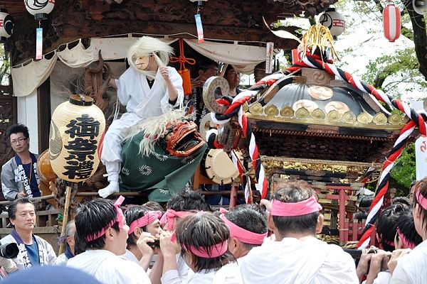 羽村橋での山車との掛け合い。'13.04.14.
