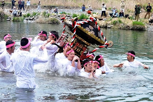 多摩川での神輿揉み。'13.04.14.